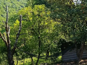 Гостевой дом Отдых у Ашота и Джульетты