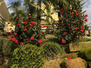 Гостевой дом Фьюжн