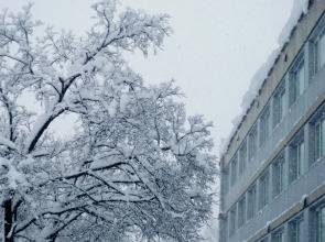 Гостиничный комплекс Турист