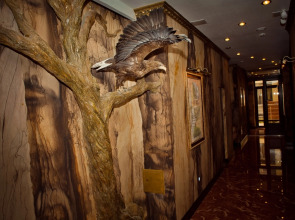 Отель Барракуда