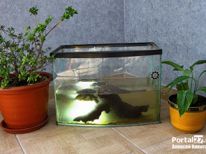 Мини-отель Оазис