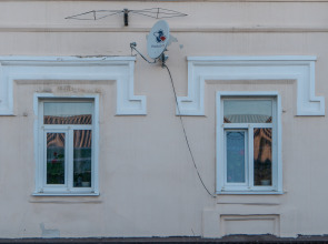 Базилик Чаплыгин