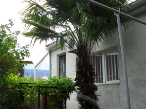 Гостевой дом Волна