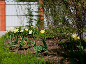 Мини-отель Sweethotel