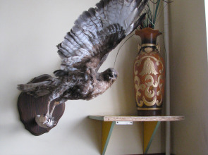 Мини-отель Зона Отдыха