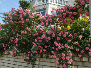 Гостевой Дом Елена