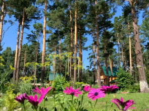 Мини-отель Подснежник