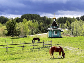 Гостевой дом Орехово-берег