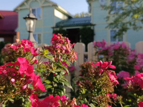 Гостевой дом Чибис