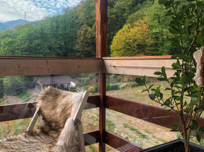 Апартаменты Услада