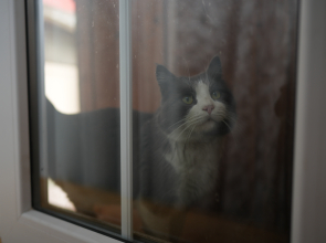 Апарт-отель Castle Gyumri