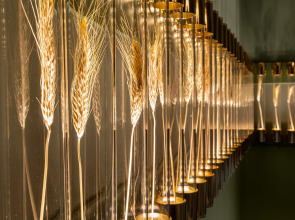 Cardo Roma, Autograph Hotel