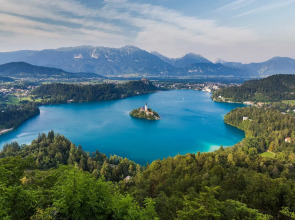 Отель Bled Rose