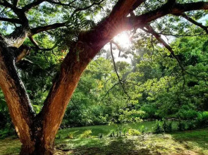 Dunes Unawatuna Hotel
