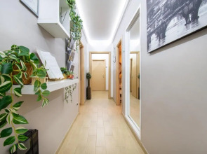 Next Stop St. Peter Rome