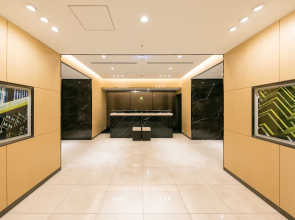 Отель Ginza Capital Moegi