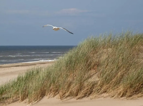 Two Brothers Noordwijk Beach