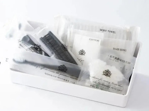 Отель Apa Hotel Pride Akasaka Kokkaigijidomae