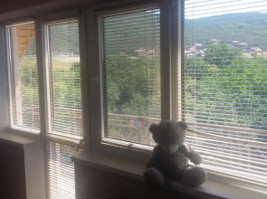 Отель «Лотос»