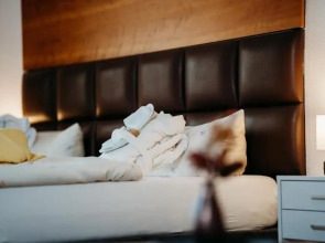 Savoy Hotel Bad Mergentheim