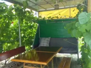 Molodezhnaya 8 Guest House