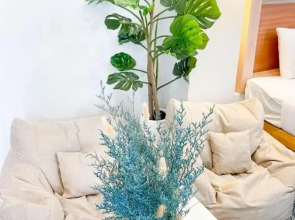 48 Ville Donmuang Airport