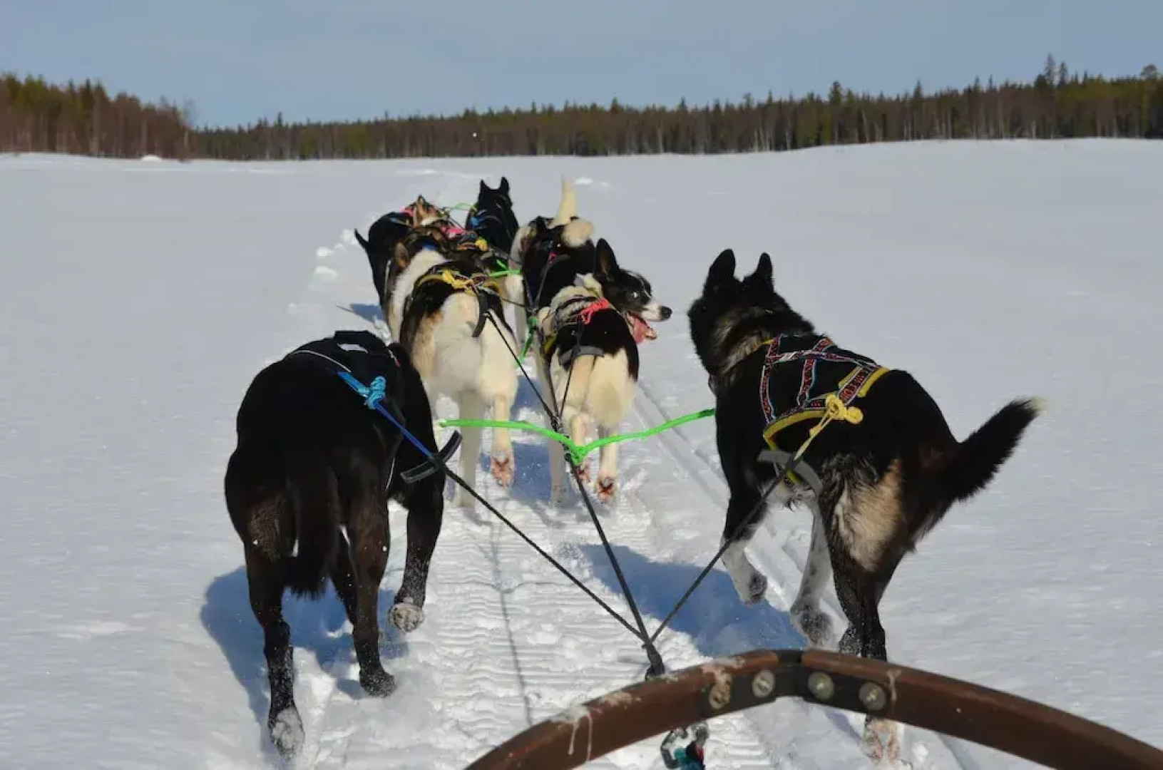 Jockfall Fishing and Activities