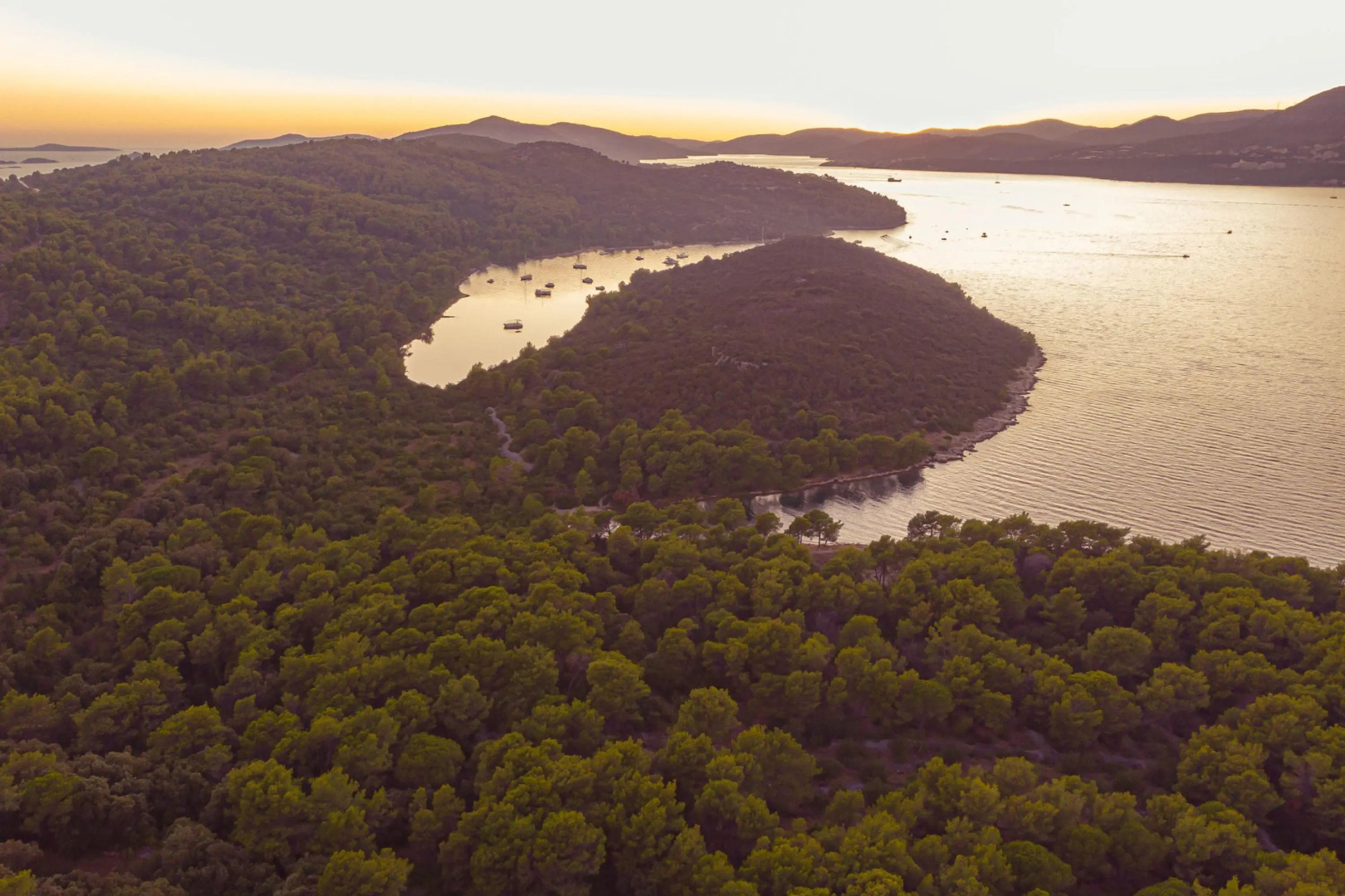 Apartment Tonka 220m From the Beach