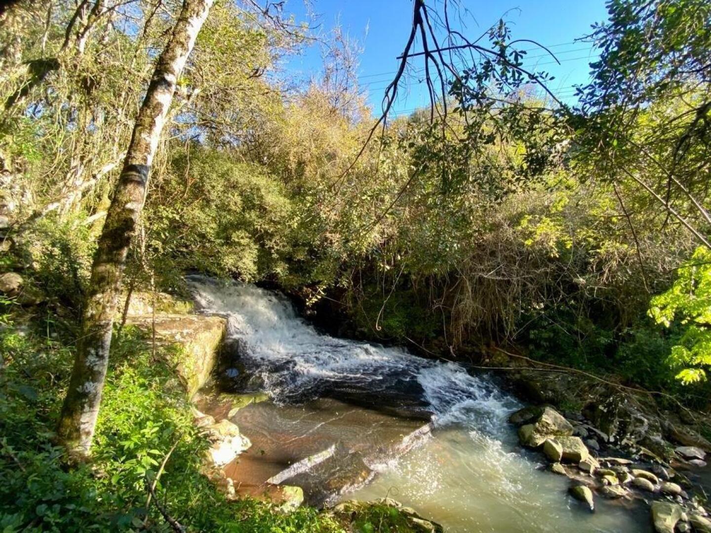 Villaggio dos Vinhedos