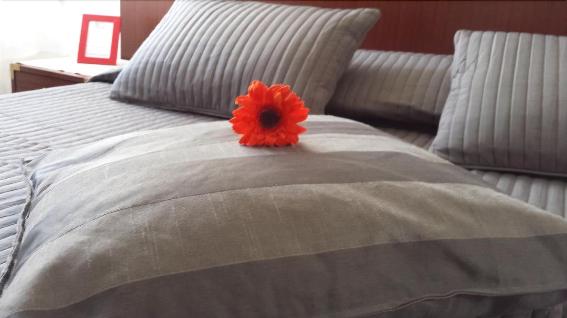 B&B Galleria Frascati