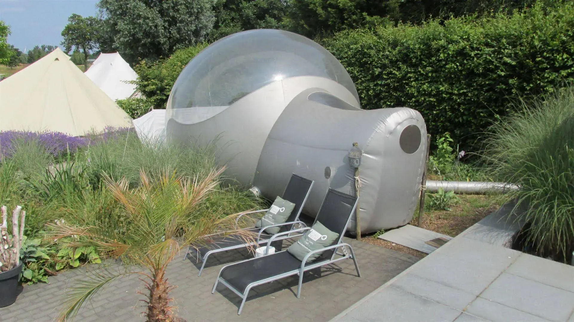 B&B De Witte Merel Deluxe