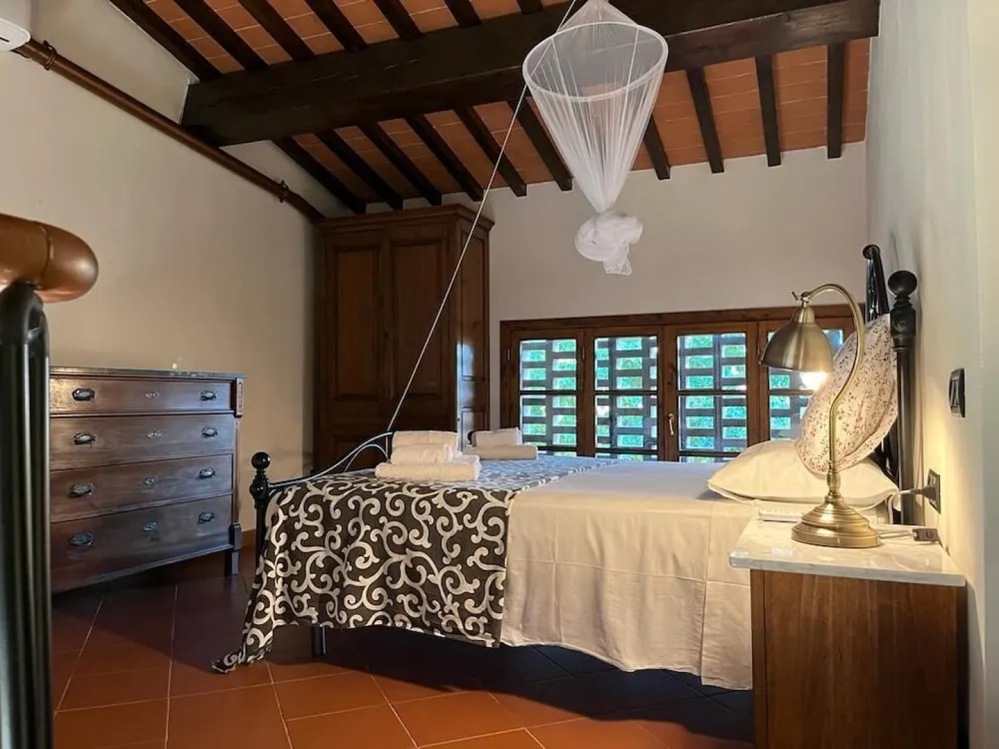 Gatto Bianco Tizzauli