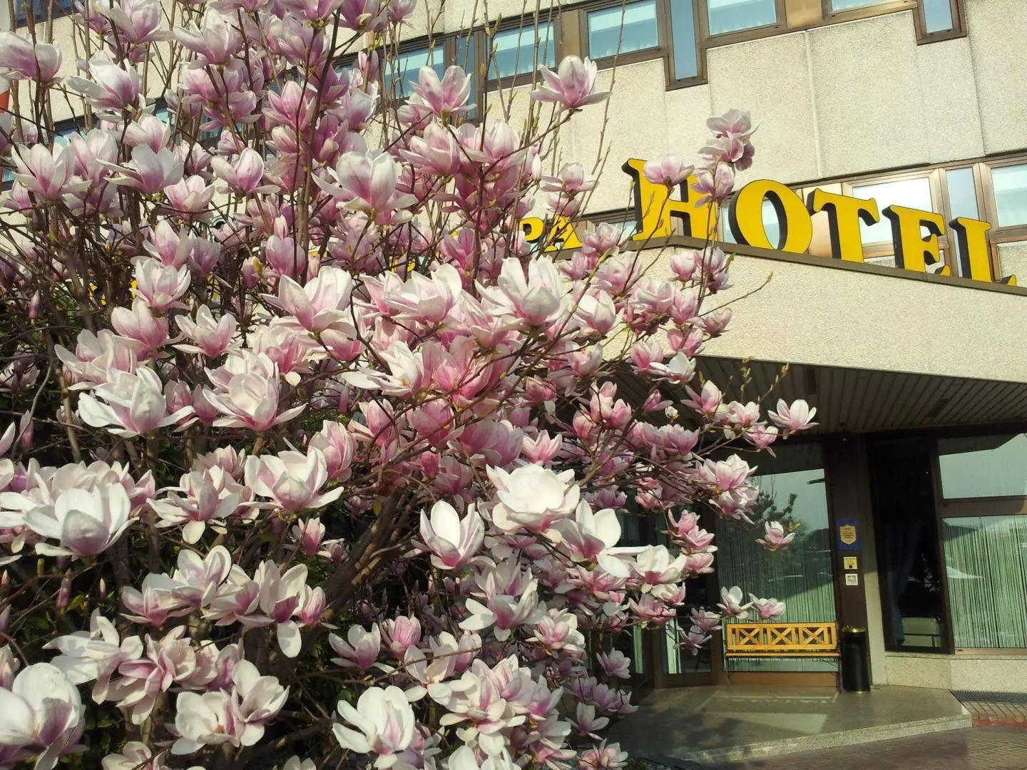 Hotel Saccardi & Spa - Adults Only