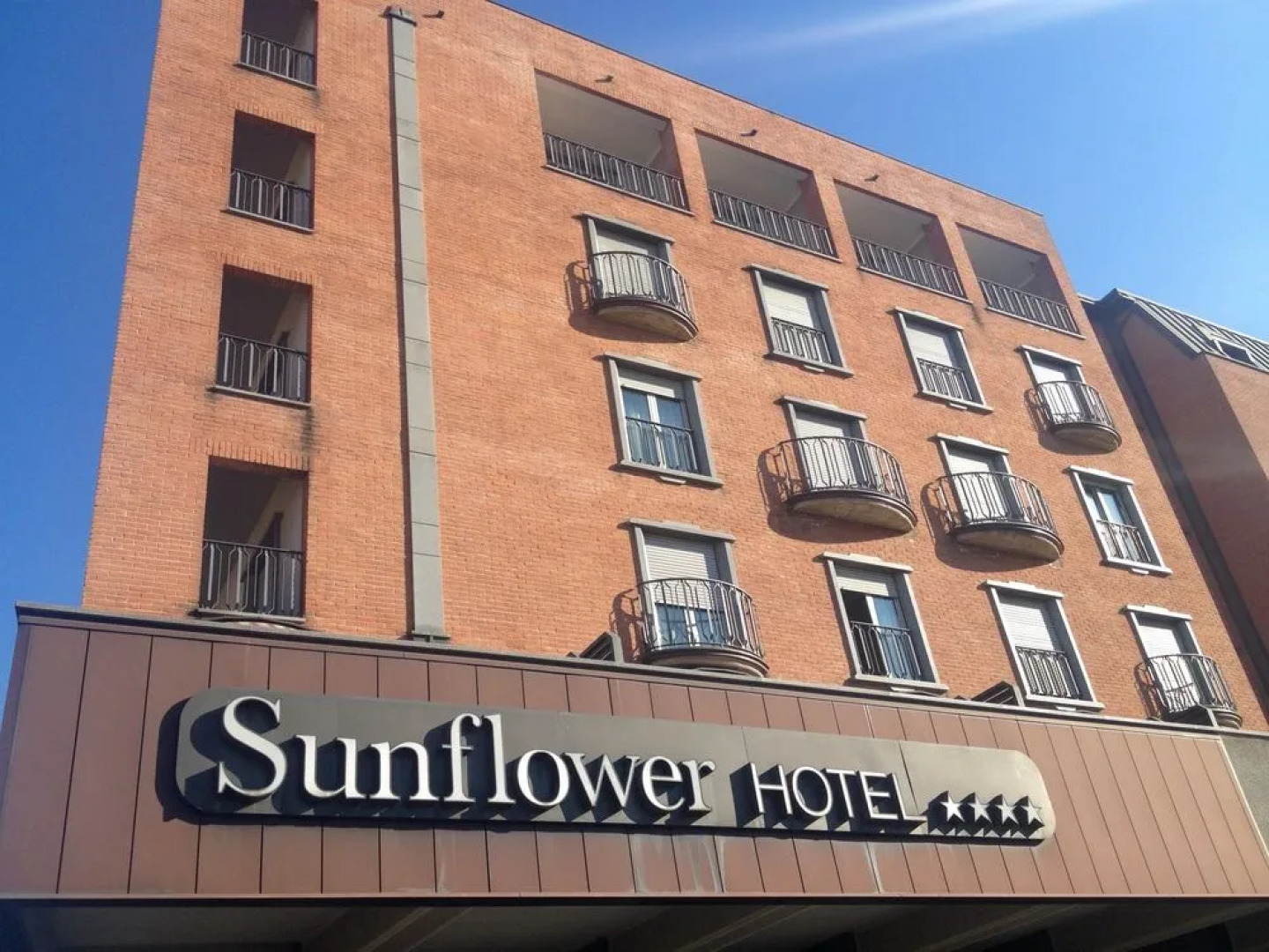 Hotel Sunflower