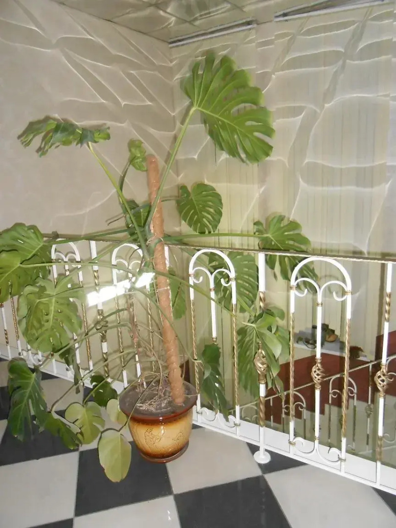 Мотель Премьер