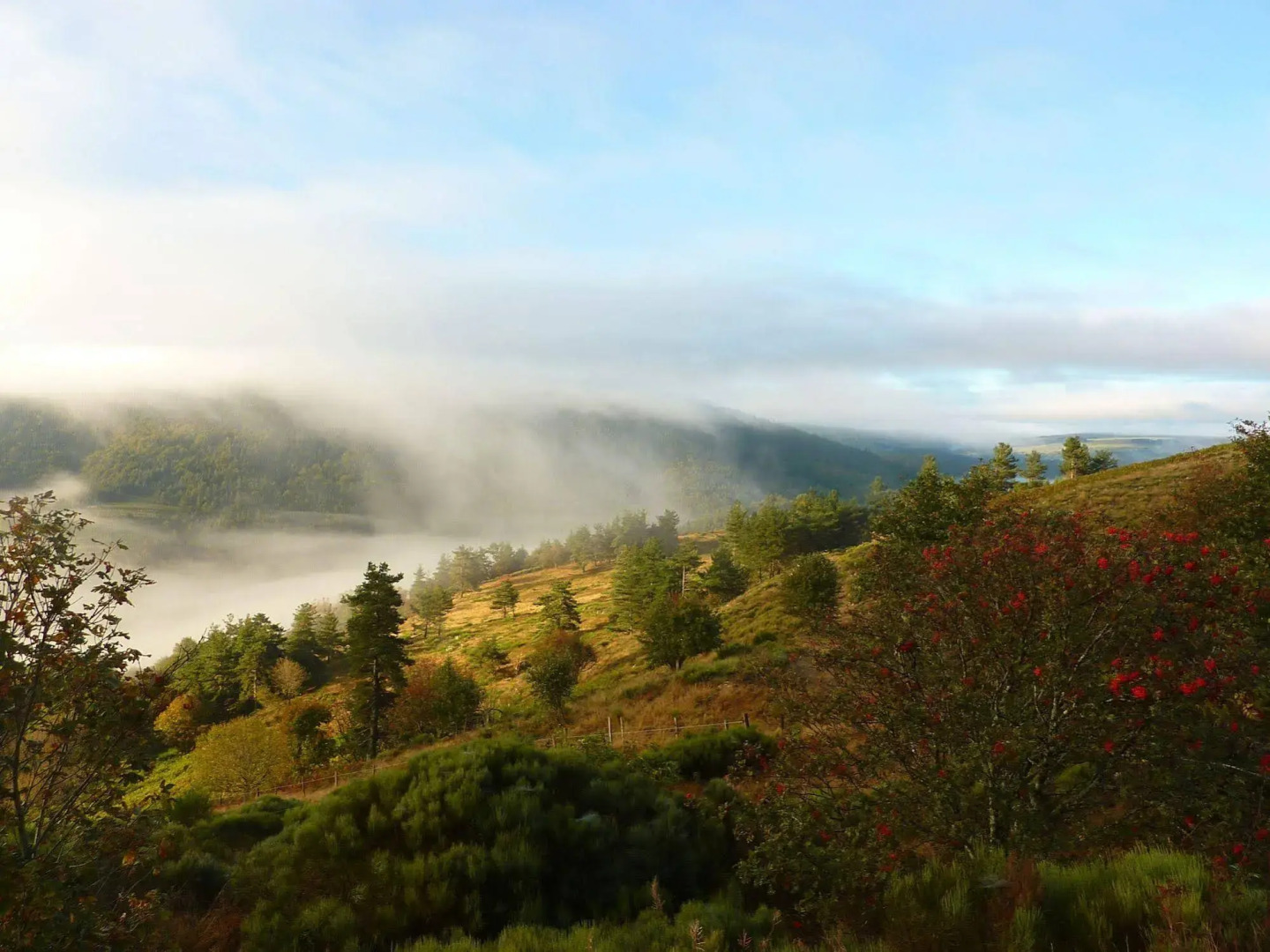 La Bergerie du Plateau
