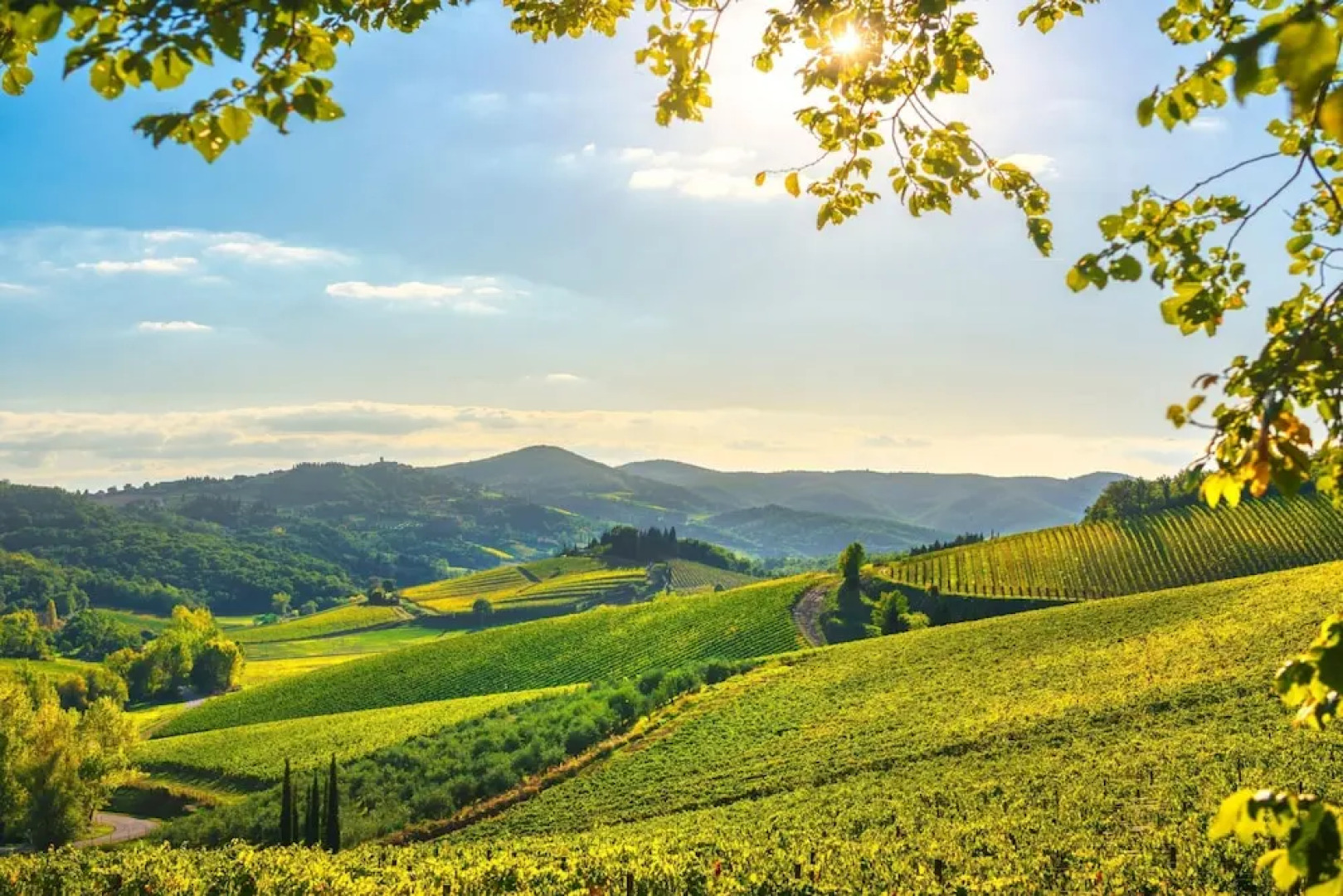 Chianti Home Private Panoramic Garden