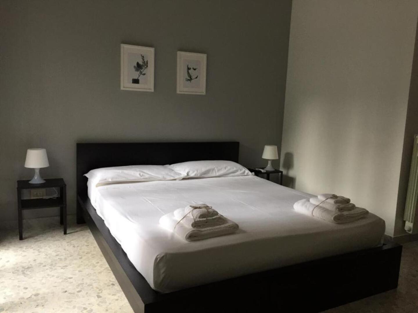 Gatto Bianco Picone 19