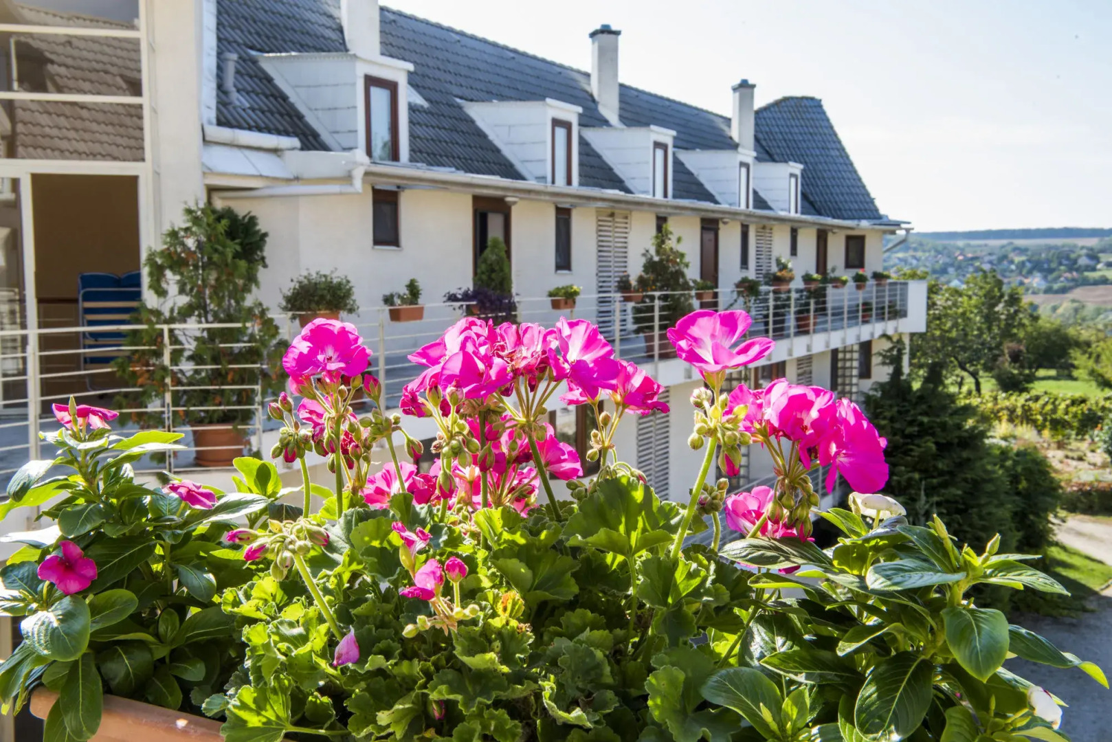 Feng Shui Wellness Apartmanház Hévíz