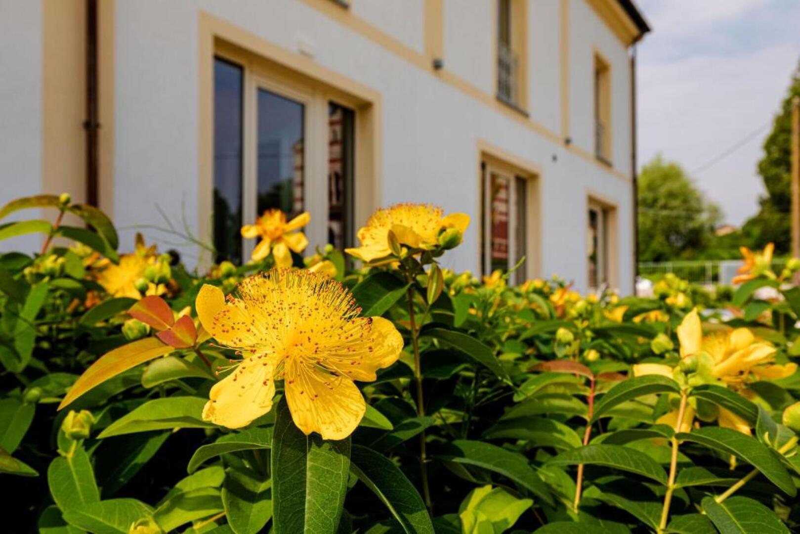 L'aja della Mirusina - Piedmont Resort