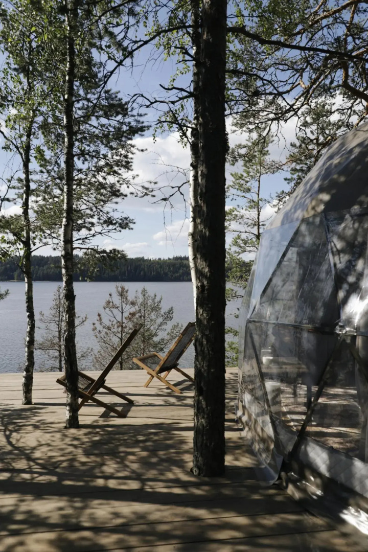 Вили Улей Карелия