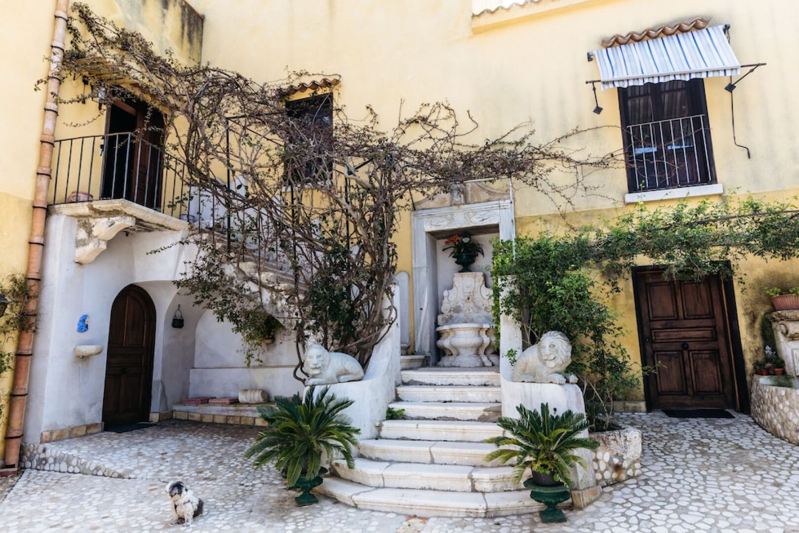 Villa Pilati Bed and Breakfast
