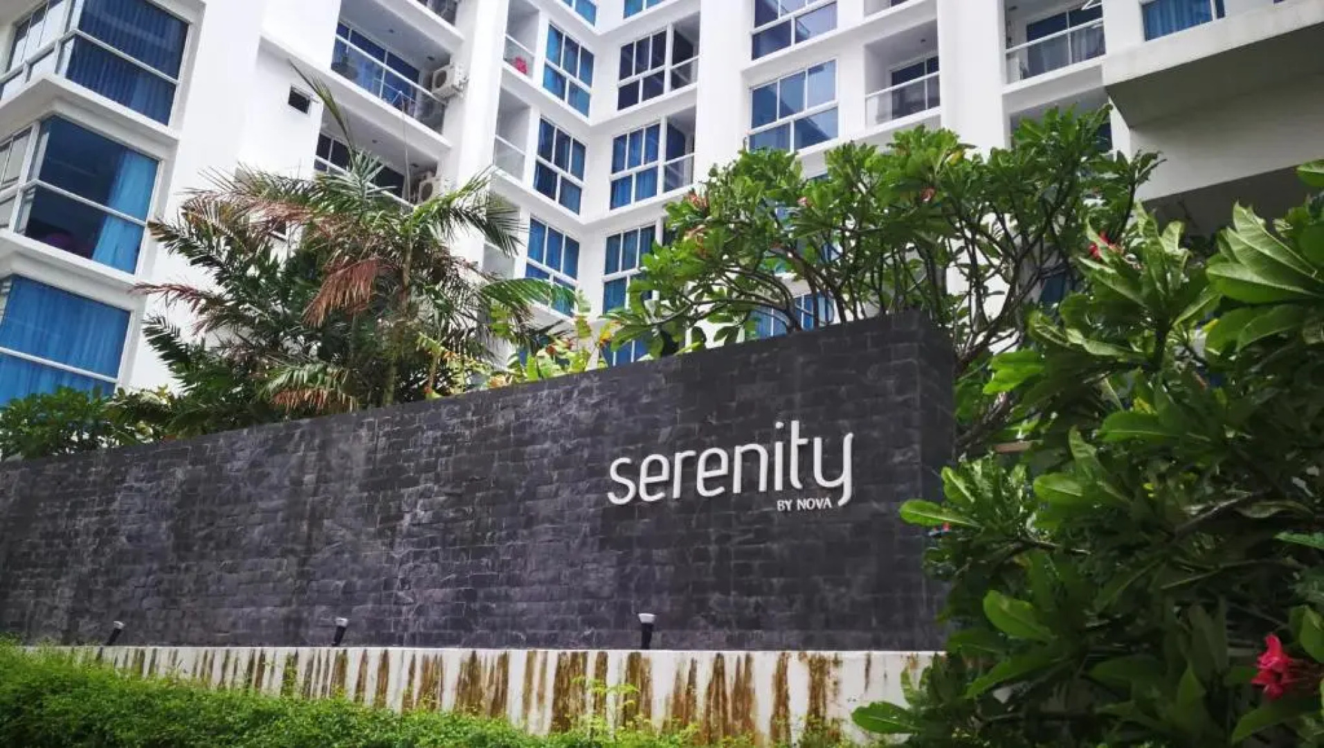 Serenity Condo Wongamat by Patsamon