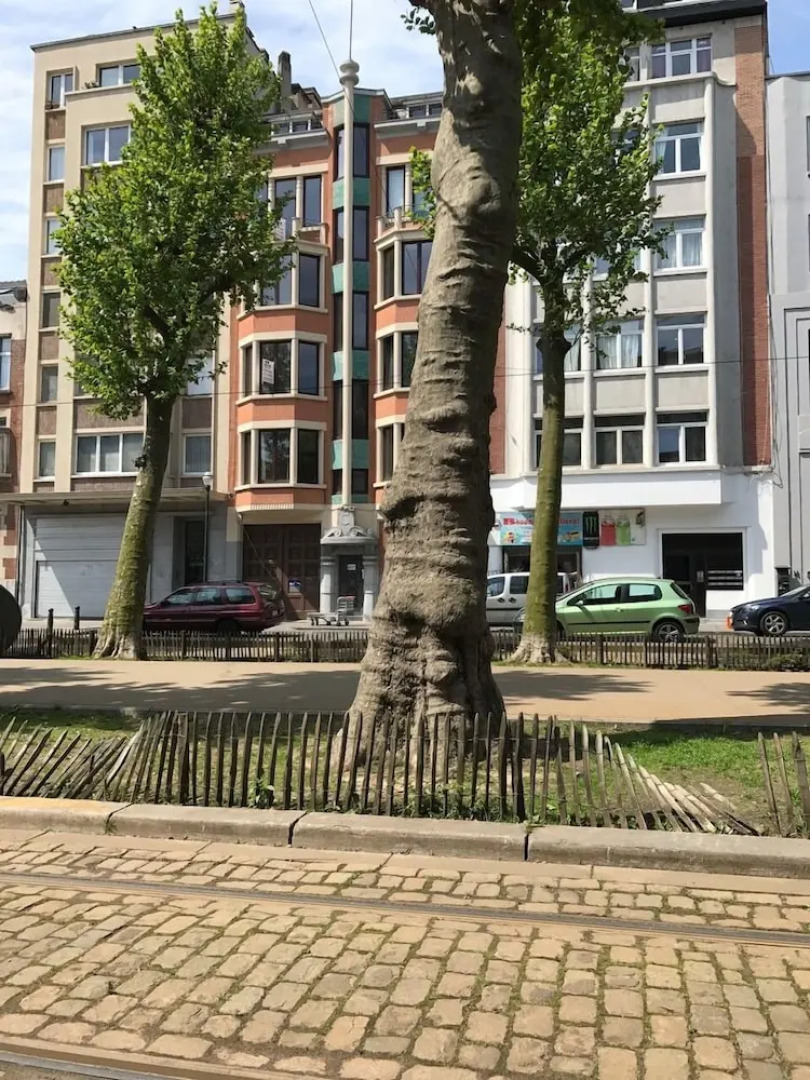 Exclusive Flats Sainte-Catherine Art