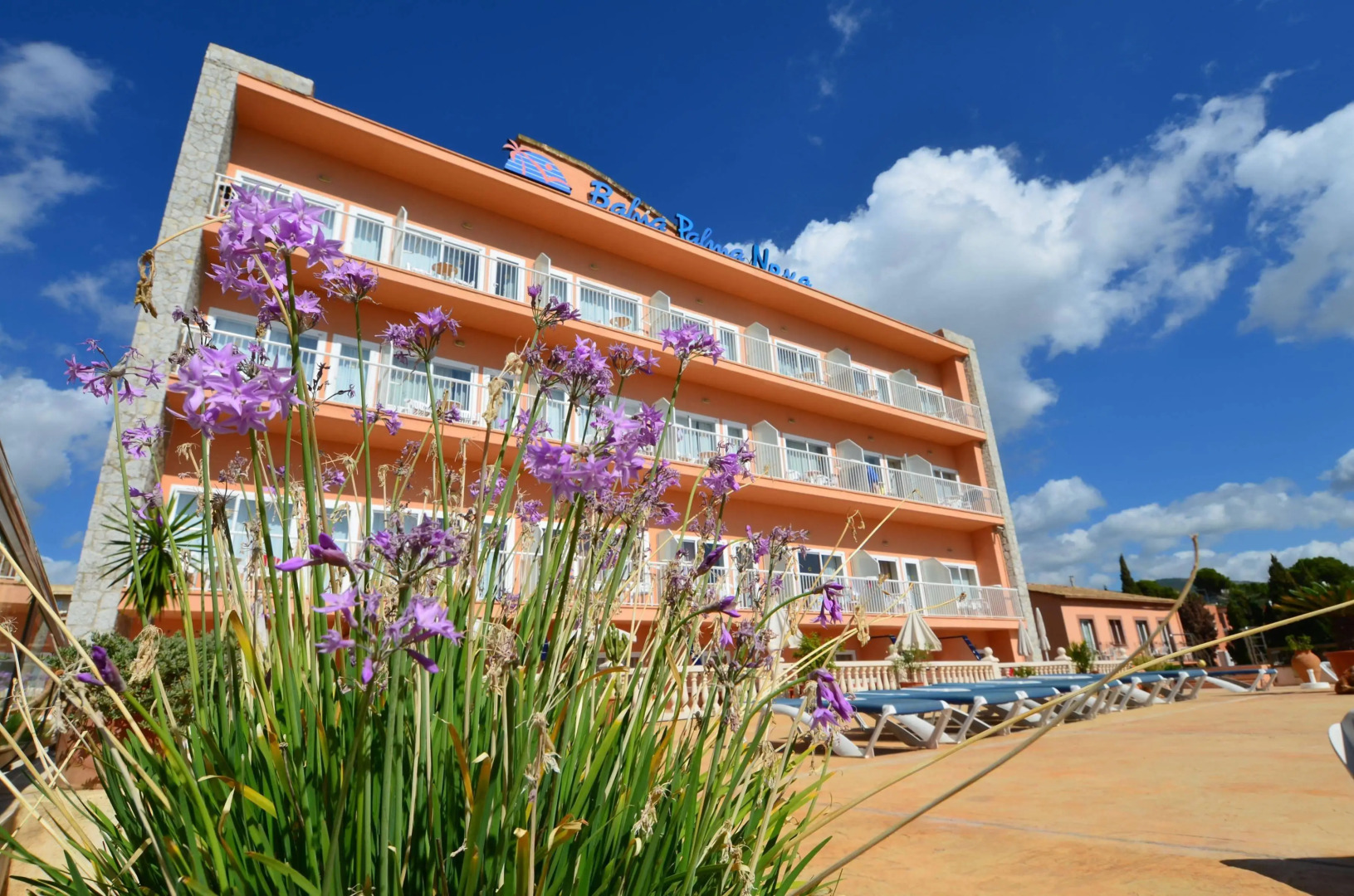 FERGUS Style Palmanova - Adults Only