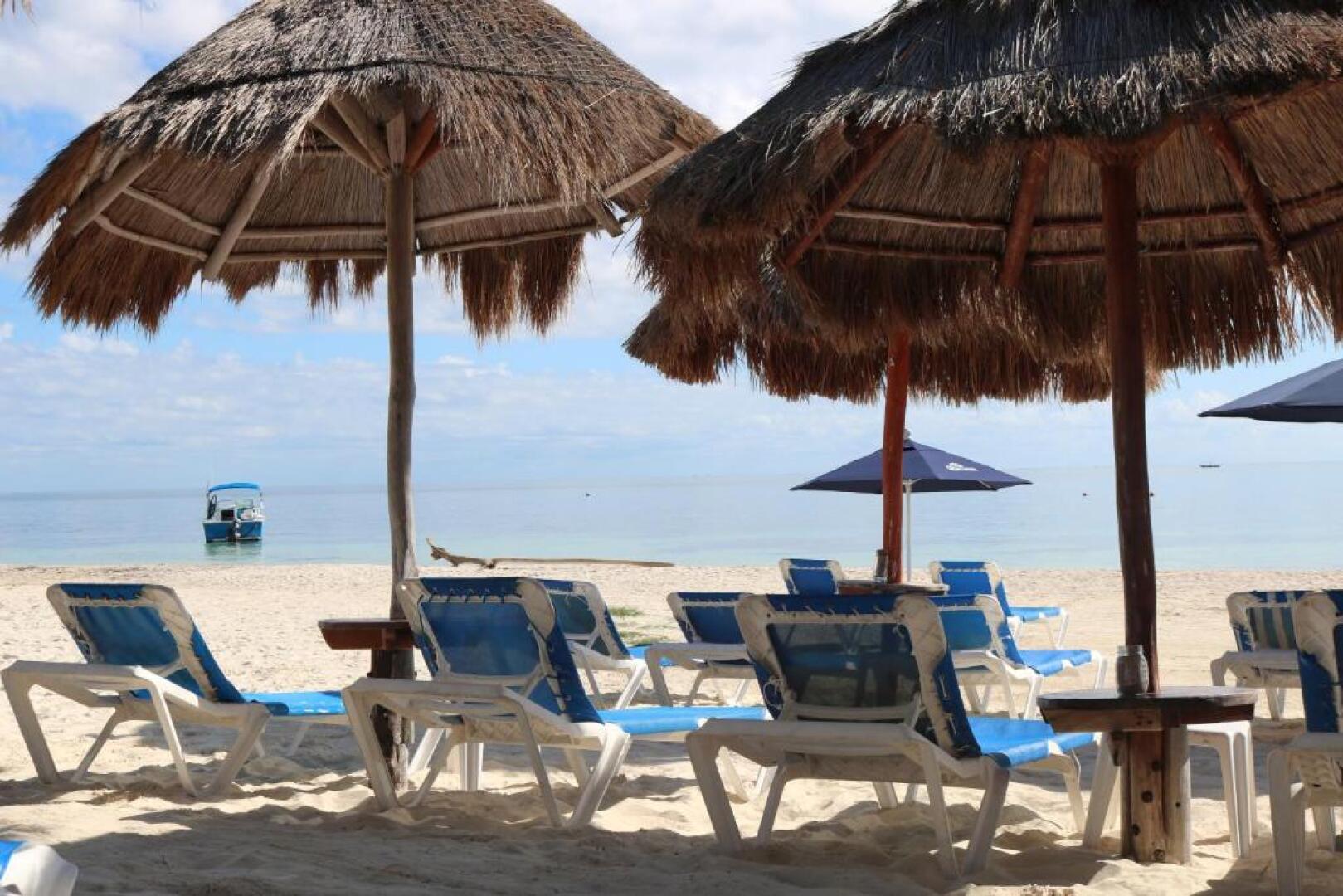 The Diving Lodge Downtown