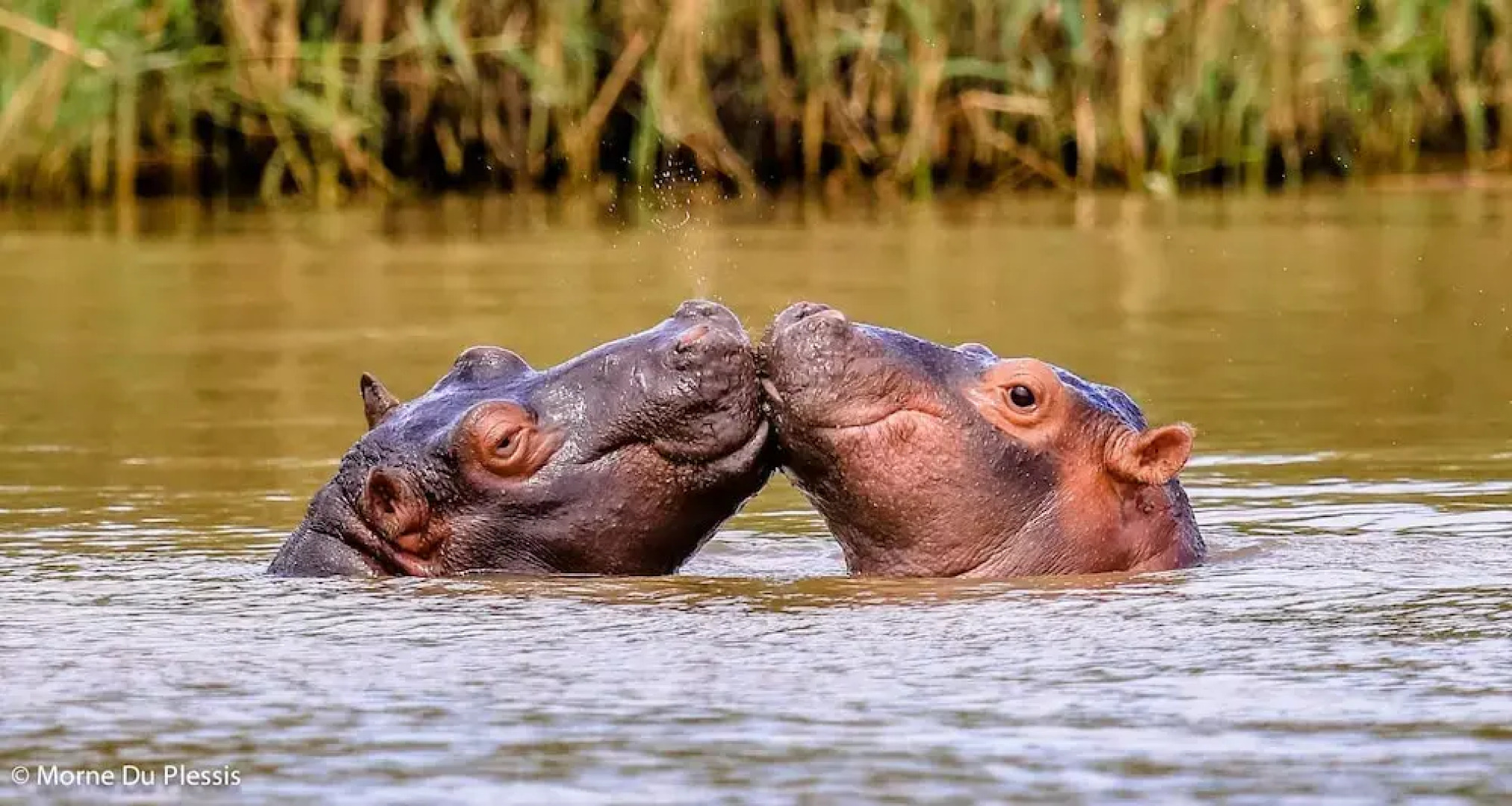 Pelican s Nest Holiday Home St Lucia