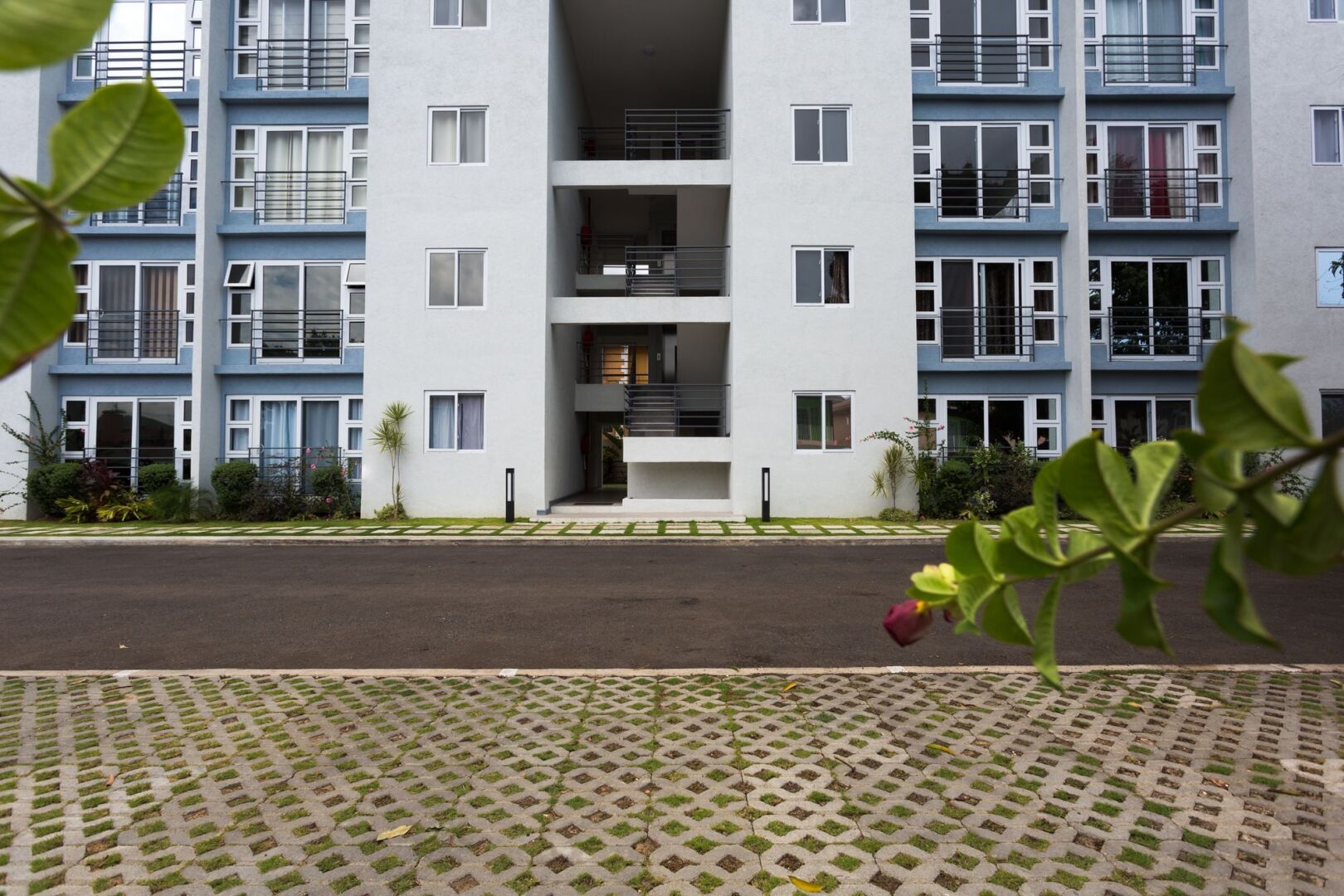 Kingston Luxury Guest Apt at Sullivan