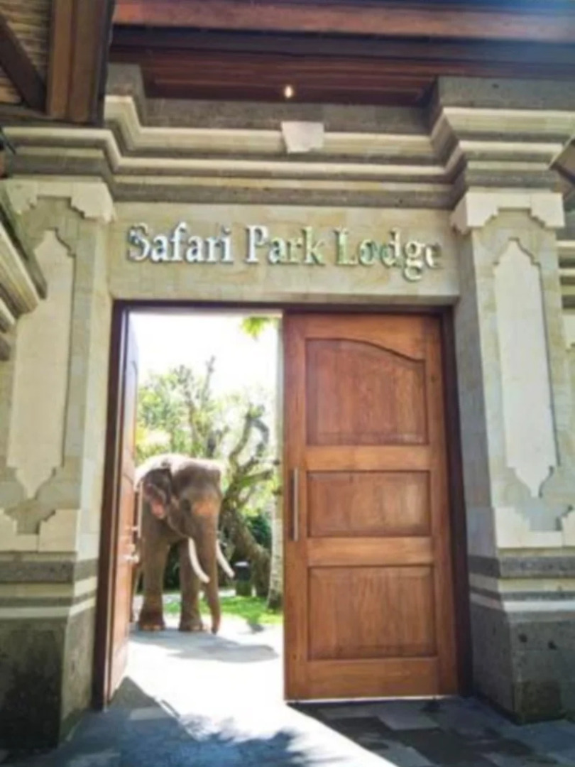 Mason Elephant Lodge