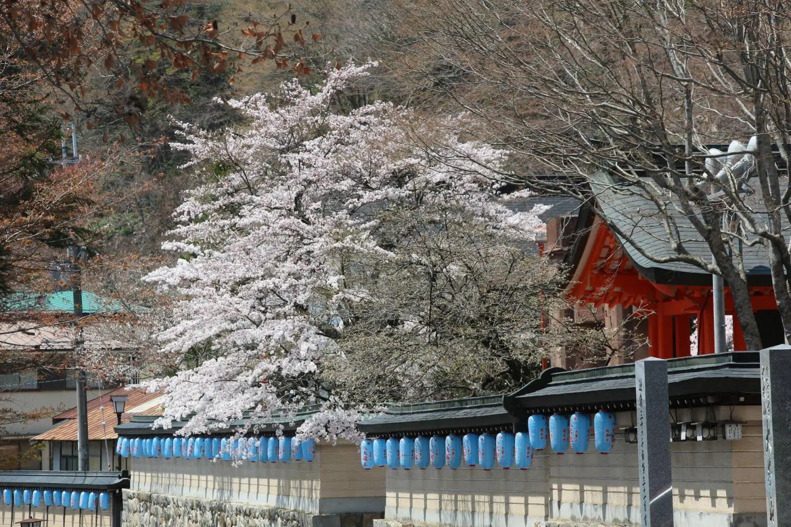 Atarashiya Ryokan - Dorogawa-onsen Hot Spring